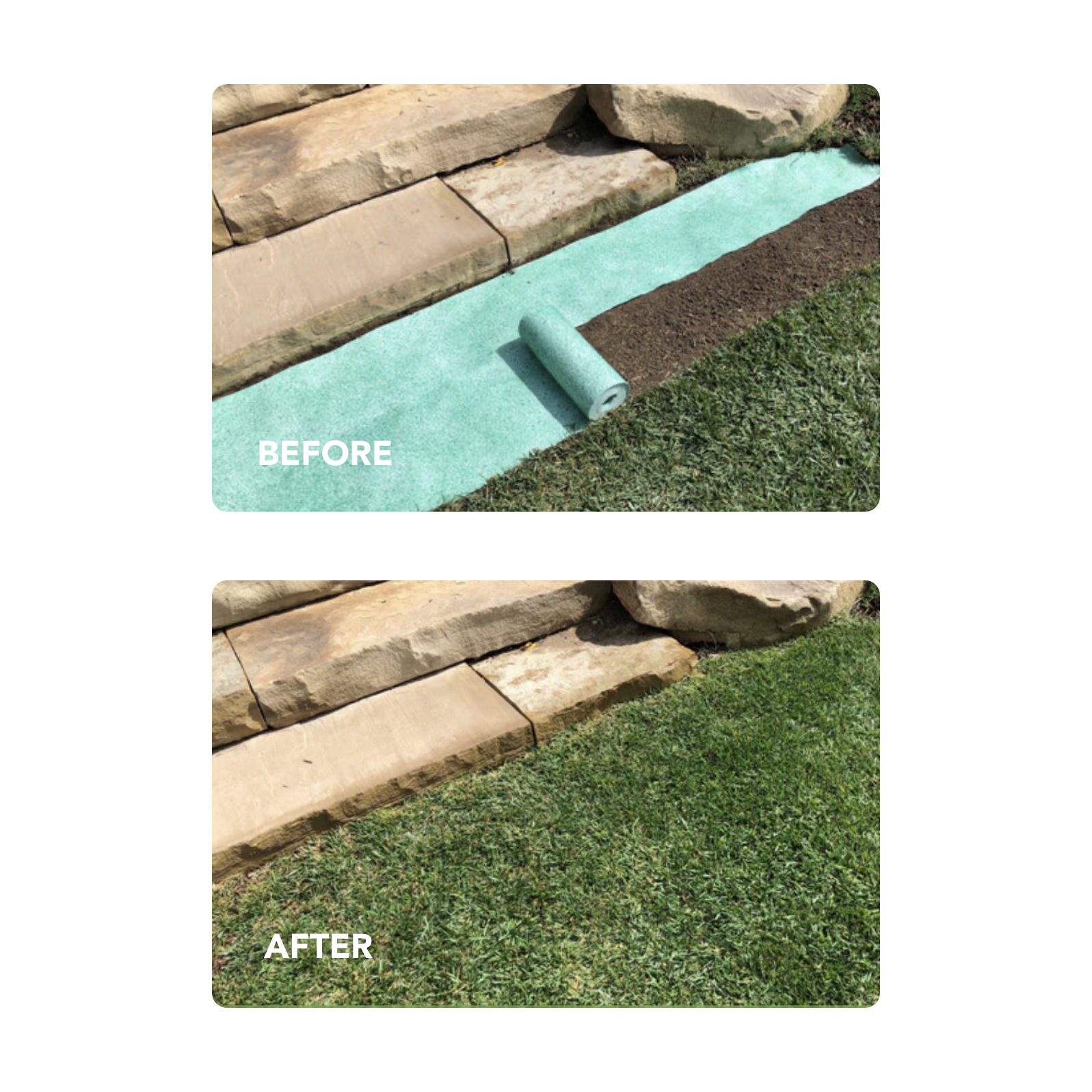 Lawn Repair Roll (50 sq ft roll)