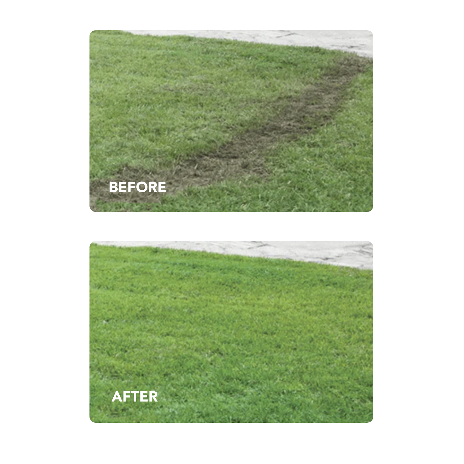 Lawn Repair Roll (50 sq ft roll)