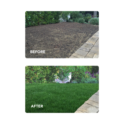 New Lawn (200 sq ft roll)