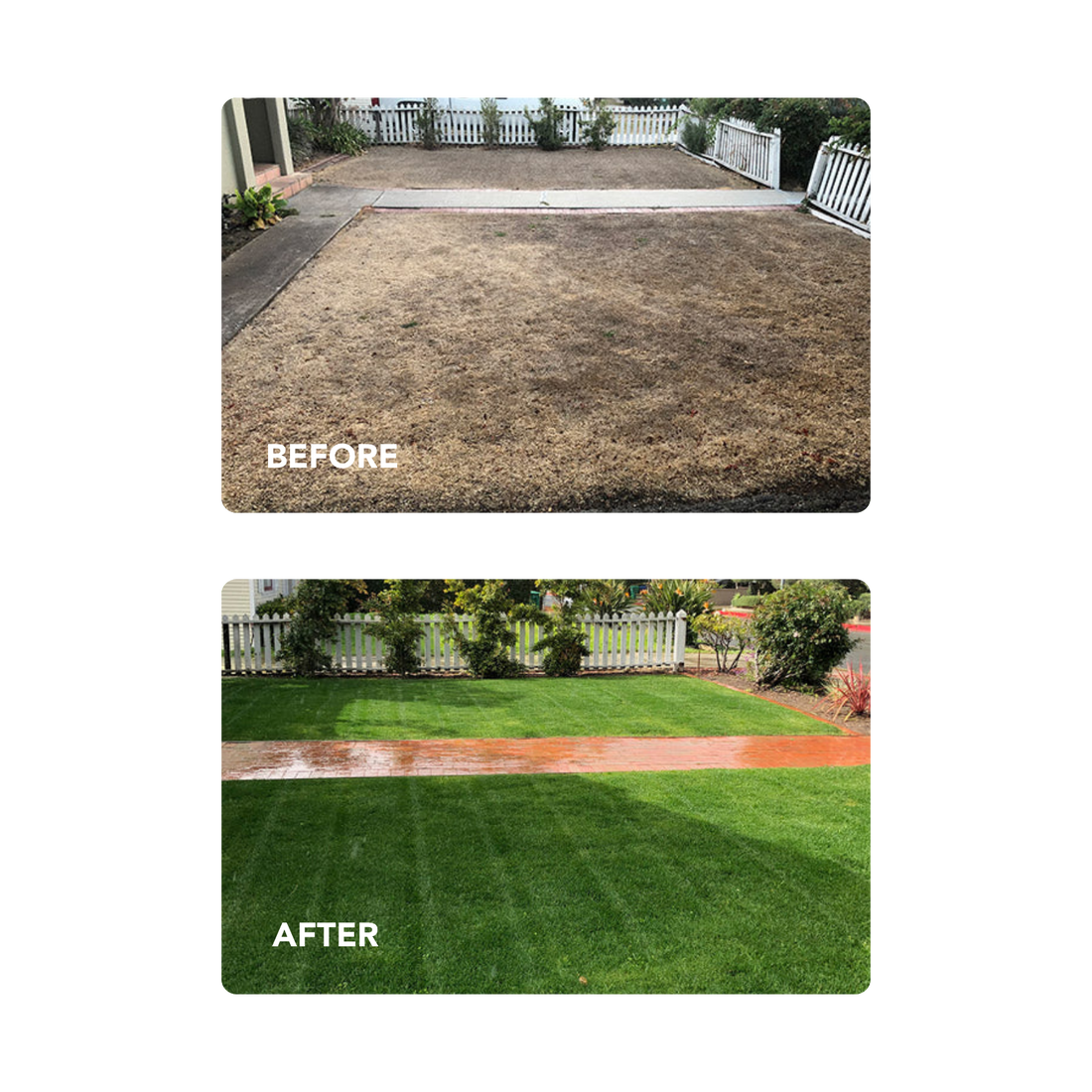 PRO-Lawn - For Significant Landscaping Project
