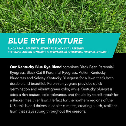 New Lawn (200 sq ft roll)