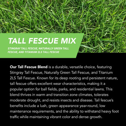 New Lawn (200 sq ft roll)