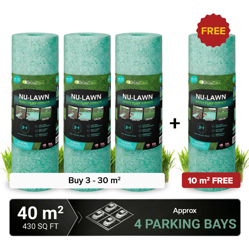 New Lawn