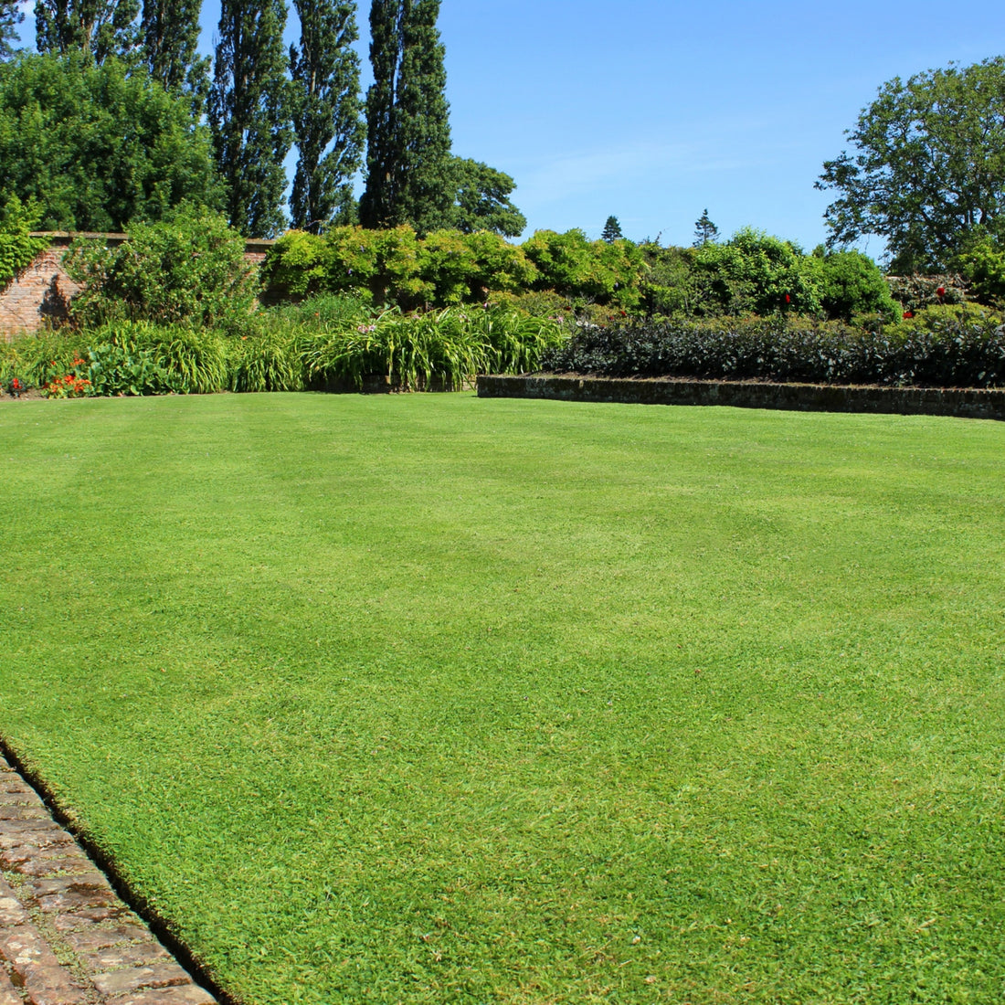 PRO-Lawn - For Significant Landscaping Project