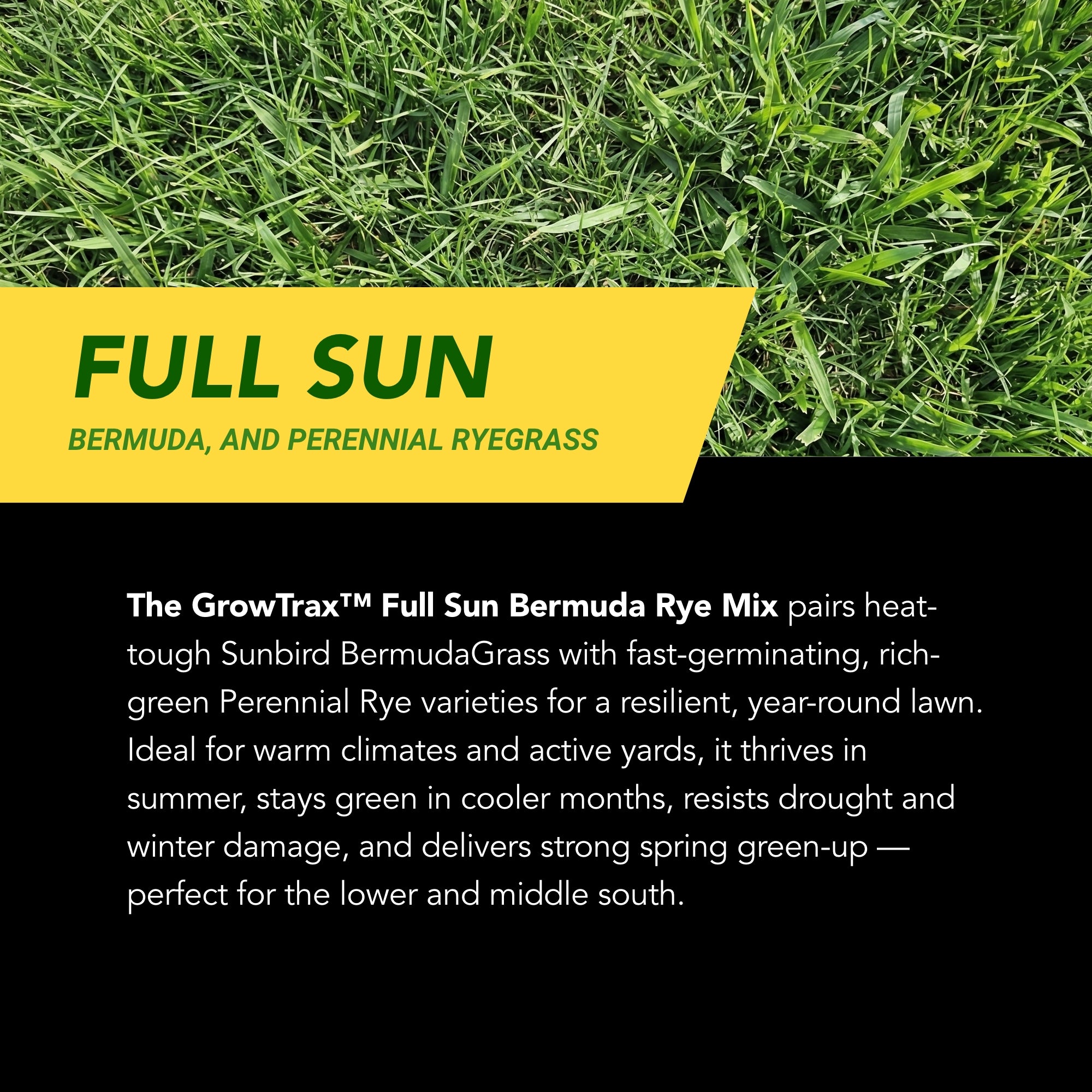 Lawn Repair Roll (50 sq ft roll)