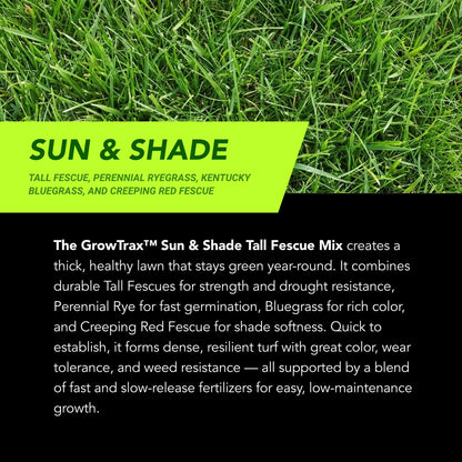 Lawn Repair Roll (50 sq ft roll)