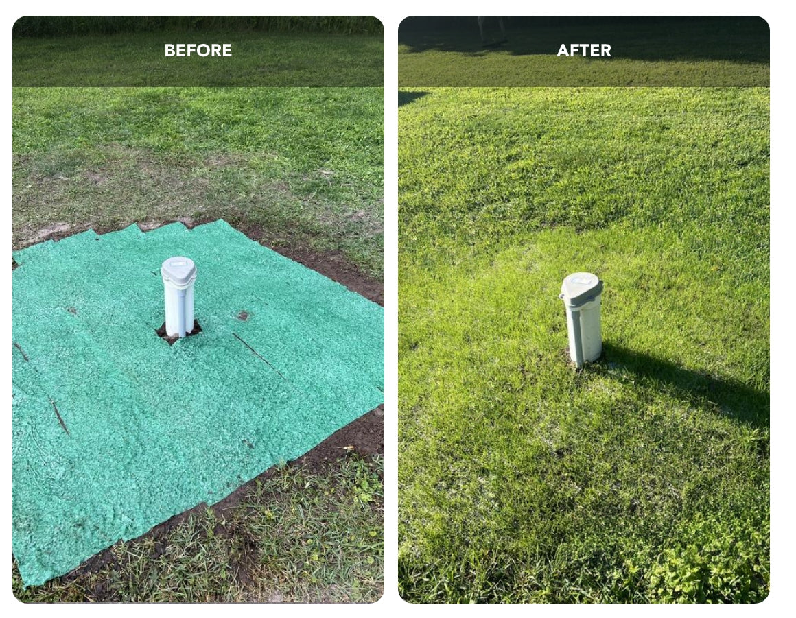 Lawn Repair Roll (50 sq ft roll)