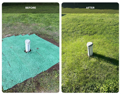 Lawn Repair Roll (50 sq ft roll)