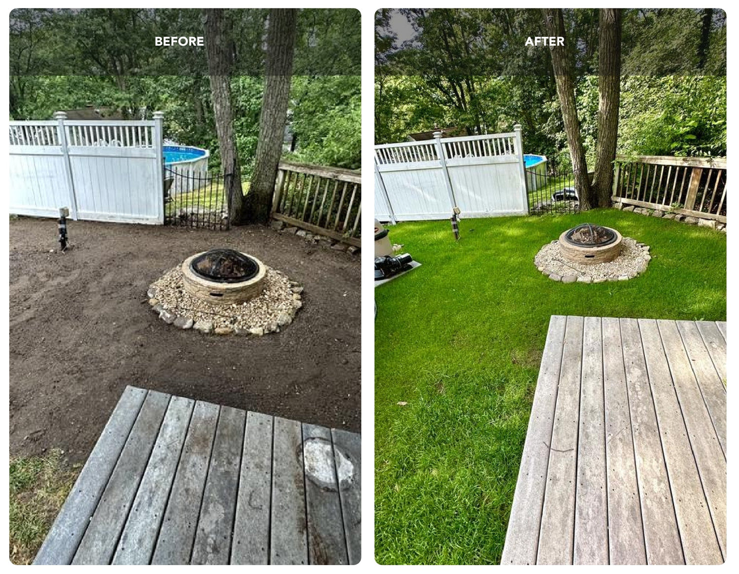 New Lawn (200 sq ft roll)