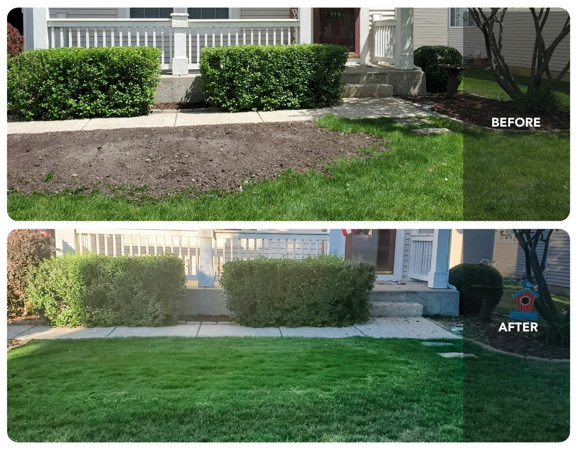 Lawn Repair Roll (50 sq ft roll)